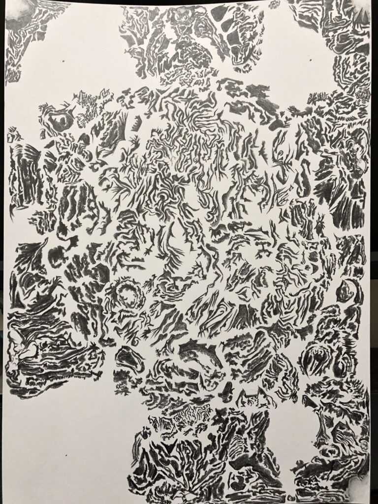Cover image of “qlibOdilp” from the Raw Surface Effects series — graphite drawing of dense organic surface textures with layered marks