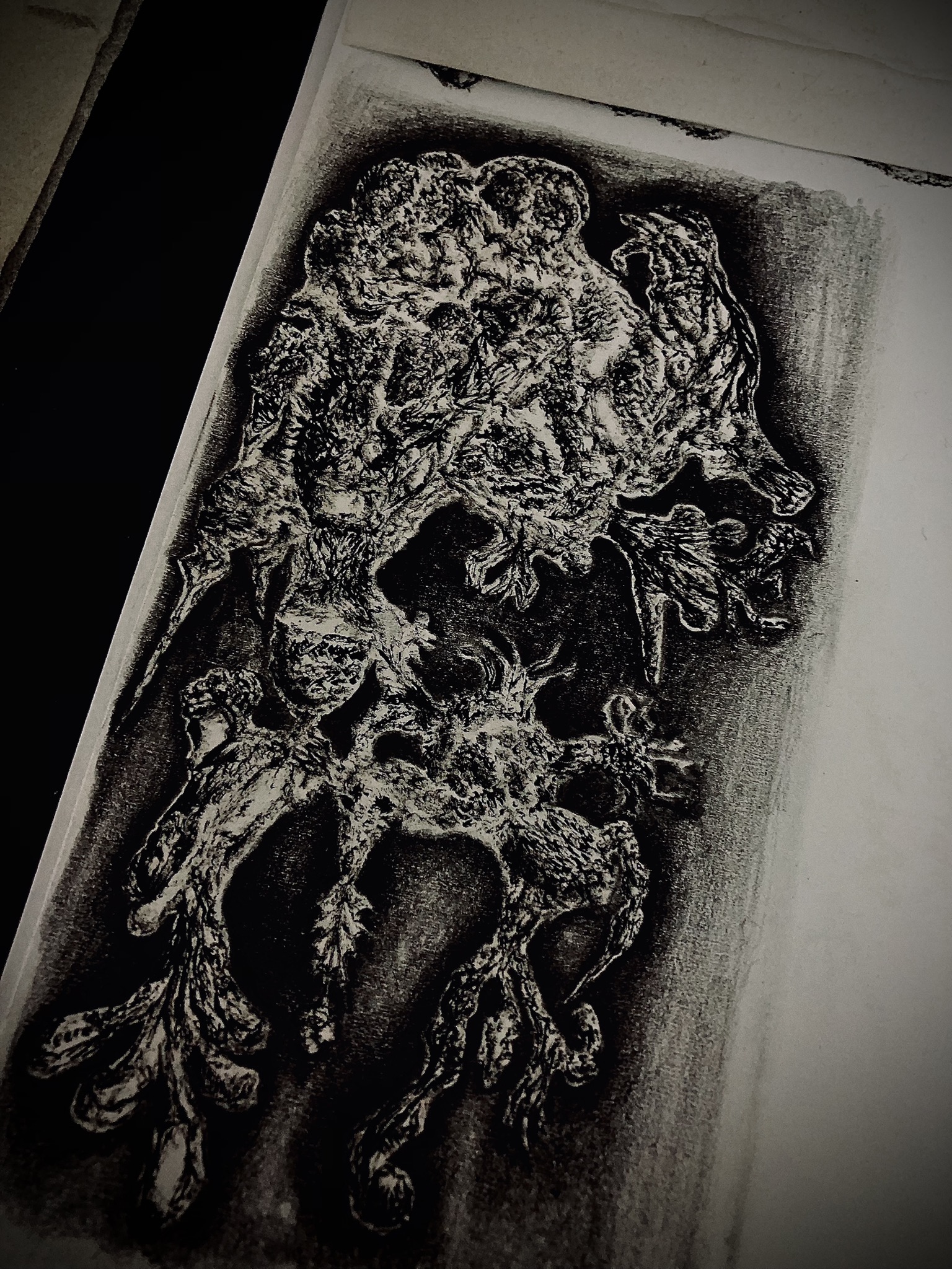 Graphite drawings of subjects half living half inanimate (creature-like)