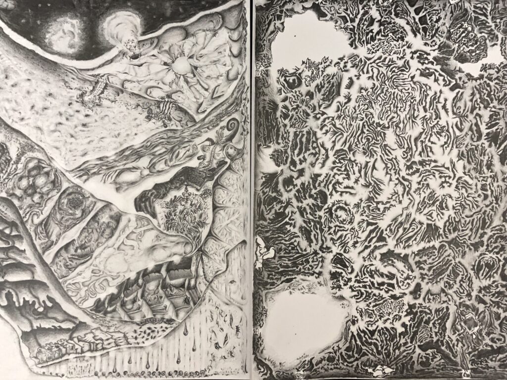 graphite drawing gallery of organic compositions, textural surfaces and conceptual semi creatures