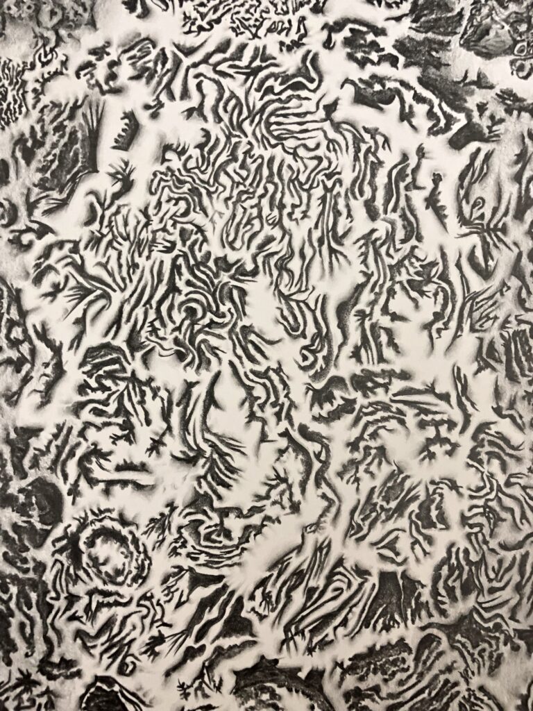 qlibOdilp: Conceptual graphite drawing of a dense altered surface texture with vein-like linear marks and clustered organic formations